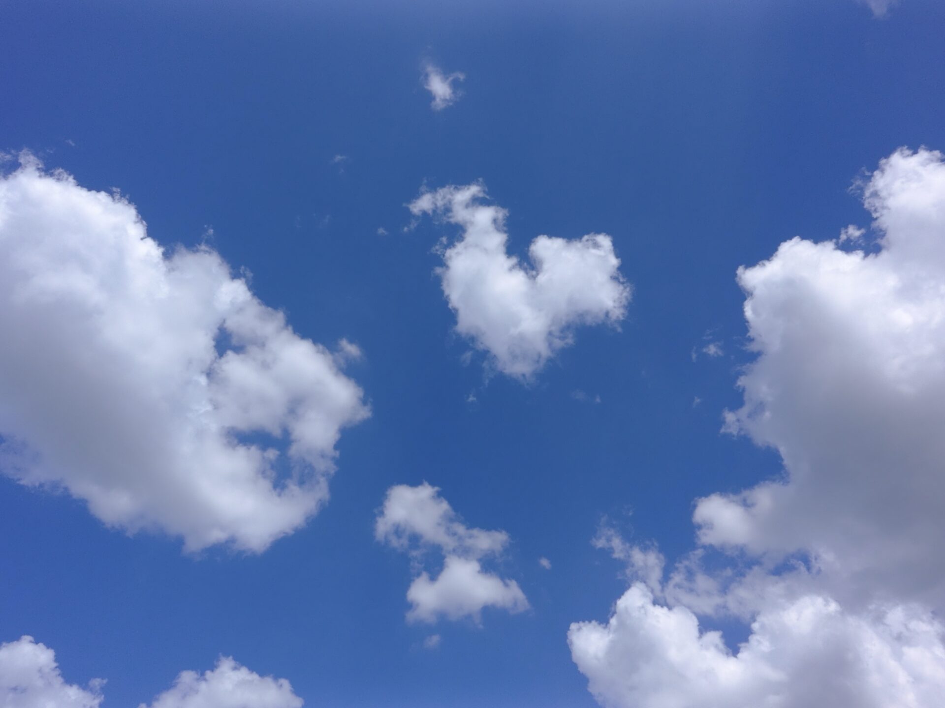 Read more about the article 디지털 노마드를 꿈꾸는 프리랜서의 기록: 이 블로그의 시작